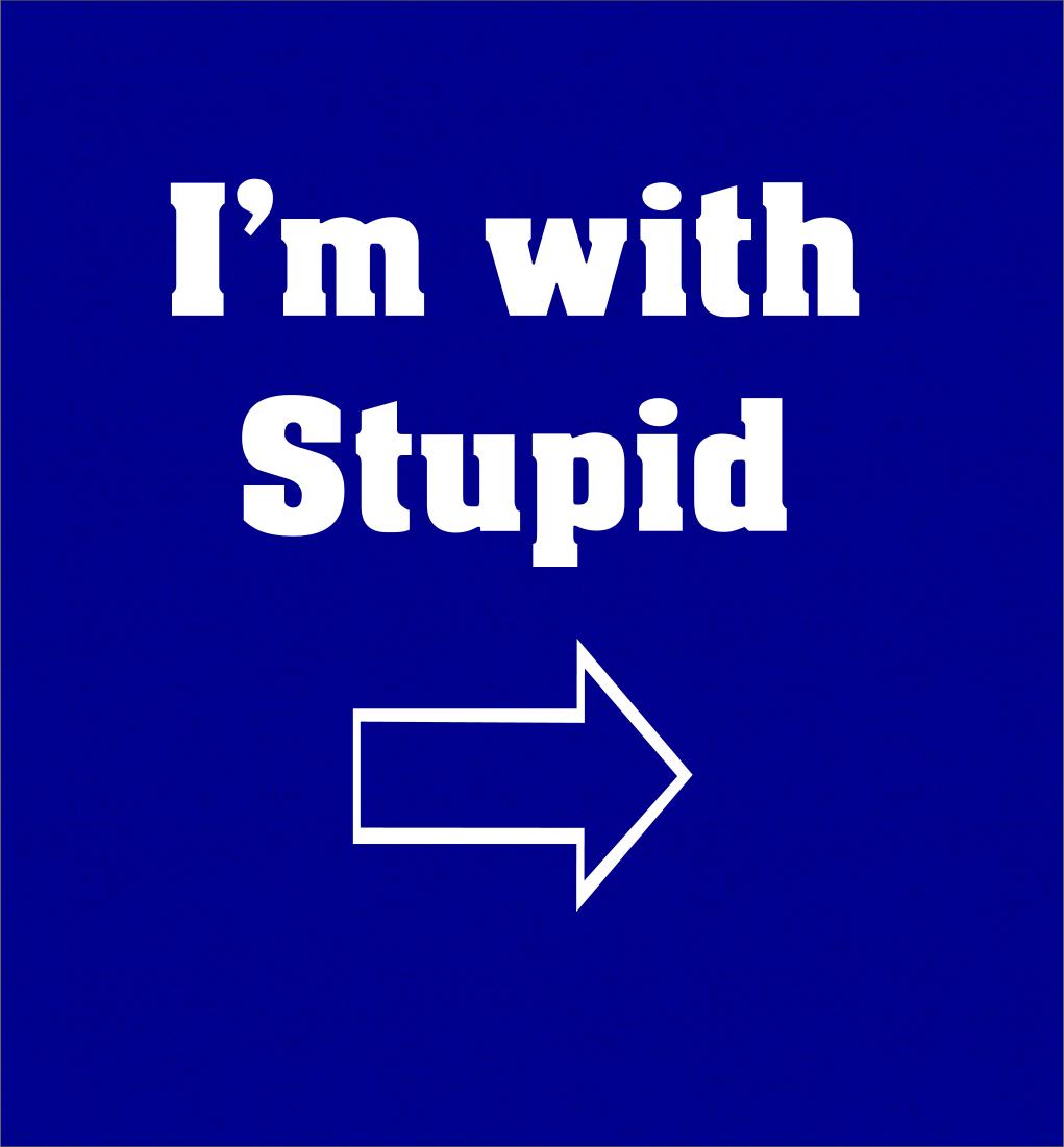 I WAS STUPID visual data 3