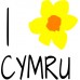 I Heart Cymru