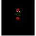 Mistletoe