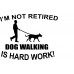 Retirement Dog Walking