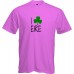 St Patrick Eire