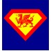 Welsh Superman